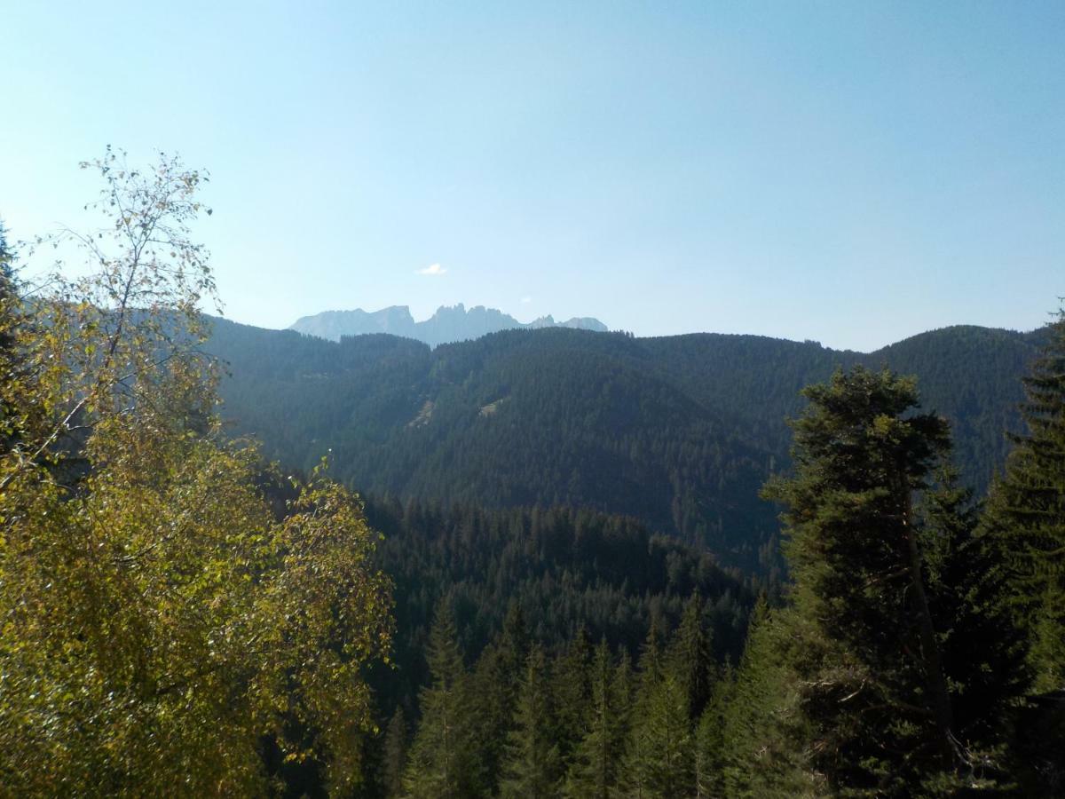 Ferienwohnung Plafötschalm Tiers am Rosengarten Exterior foto